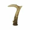 Best reviews of 🧨 HiEnd Accents Antler Address Number, 7 ⭐ -HiEnd Accents shop HiEnd Accents Antler Address Number2C 7