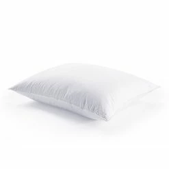 Buy 🔥 HiEnd Accents Down Pillow Sham Insert 🎉