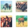 Best Sale ❤️ HiEnd Accents Horse Coasters, Set Of 4 🥰
